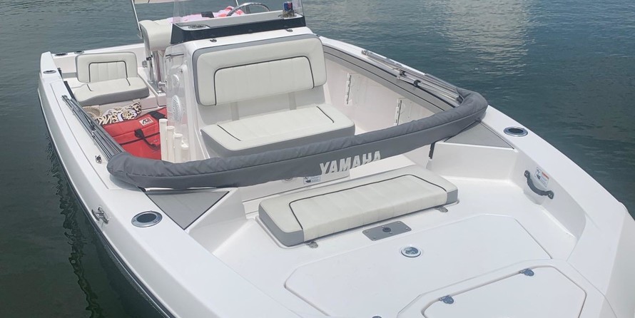 Yamaha 190 FSH Deluxe