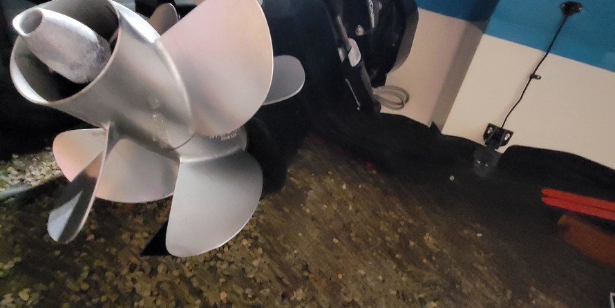 Sea Ray SPX 230 Sterndrive