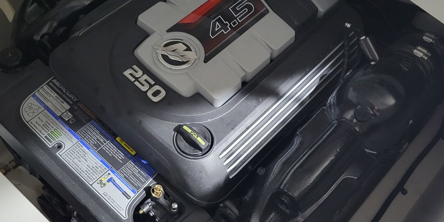 Sea Ray SPX 230 Sterndrive