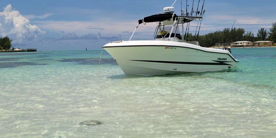 Hydra-sports 2800 vector wa