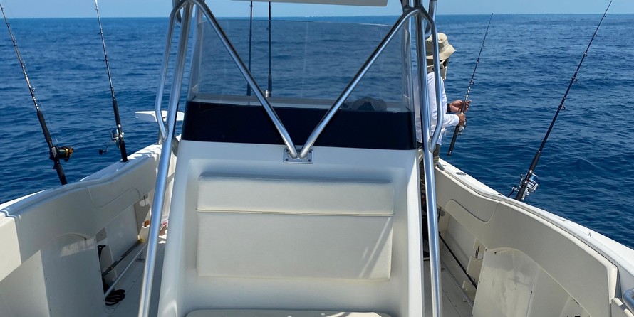 Hydra-sports 2800 vector wa