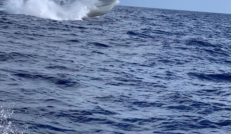 Hydra-sports 2800 vector wa