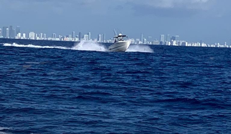 Hydra-sports 2800 vector wa