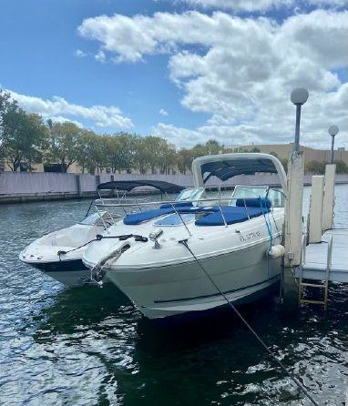 Sea Ray 310 Sundancer