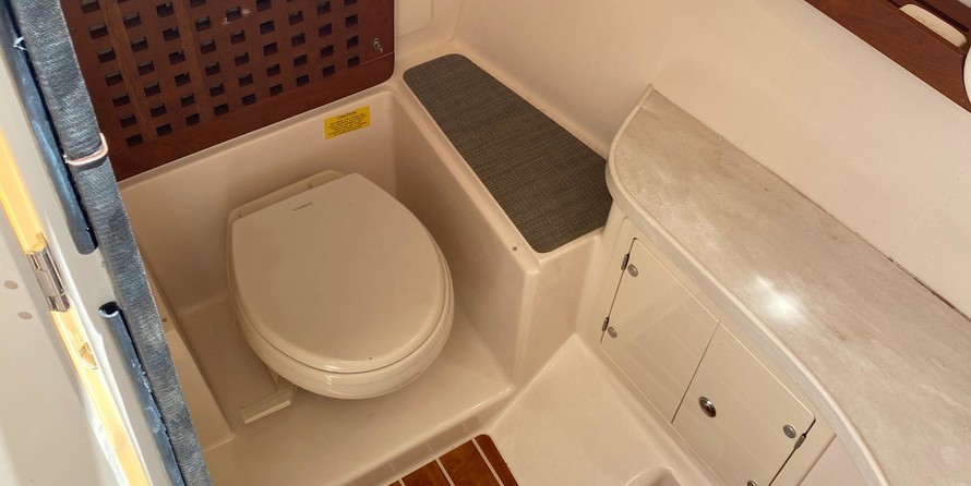 Grady-White Freedom 335