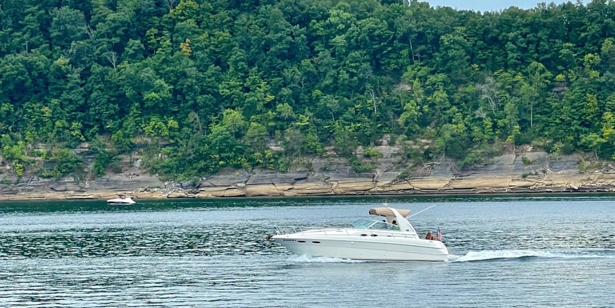 Sea Ray 310 Sundancer