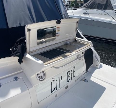 Sea Ray Sundancer 350 Coupe