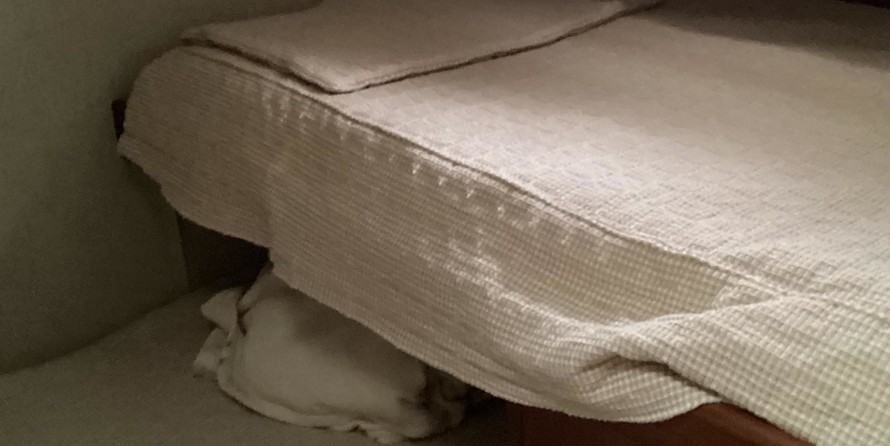 Trojan 32 flybridge sedan