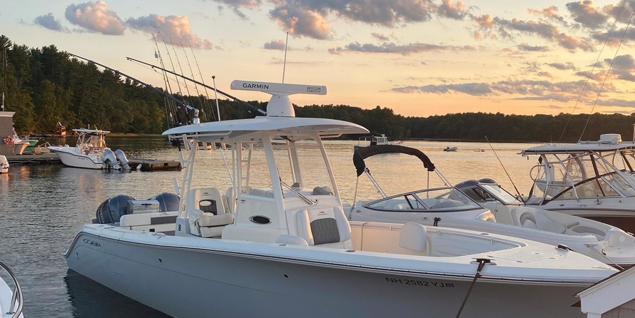 Cobia 217 center console