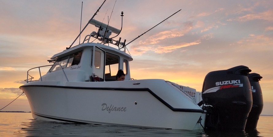 Defiance 260
