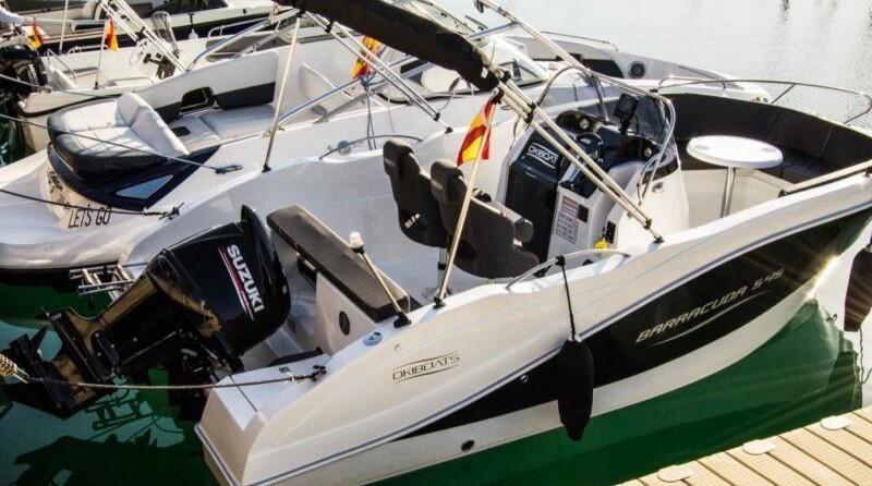 Barracuda 545