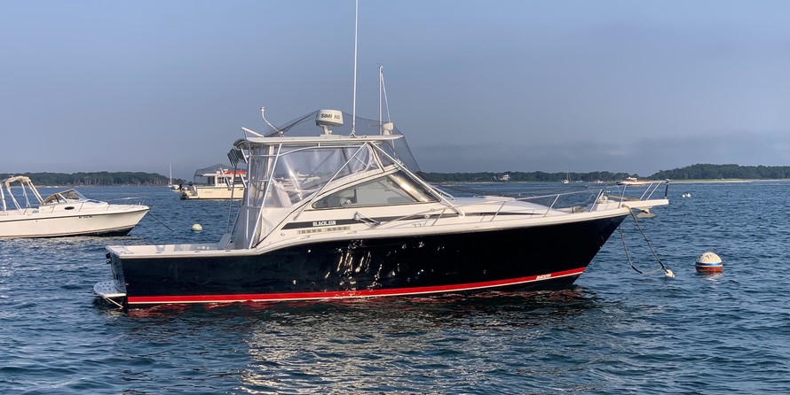Blackfin 29 combi