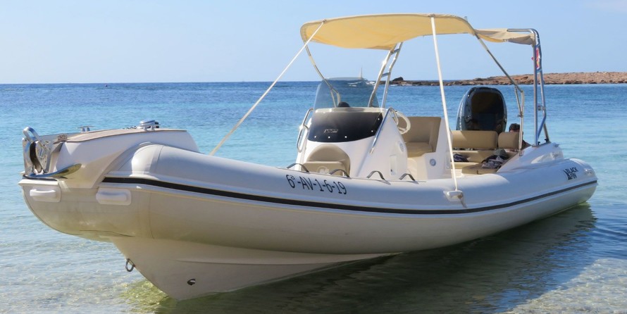 Black Fin Elegance 8