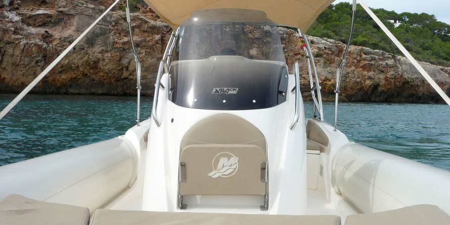 Black Fin Elegance 8