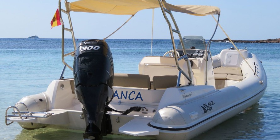 Black Fin Elegance 8