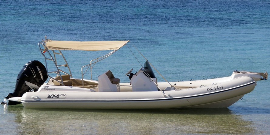 Black Fin Elegance 8