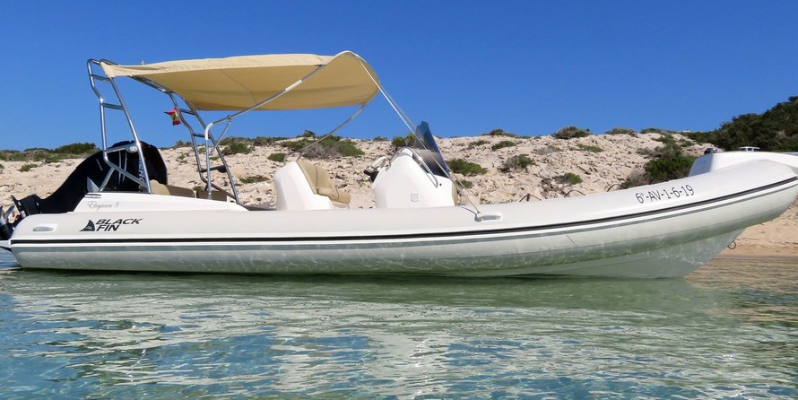 Black Fin Elegance 8