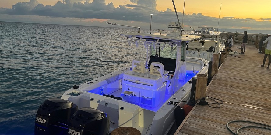 Boston Whaler 320 Outrage