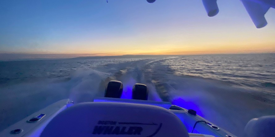Boston Whaler 320 Outrage