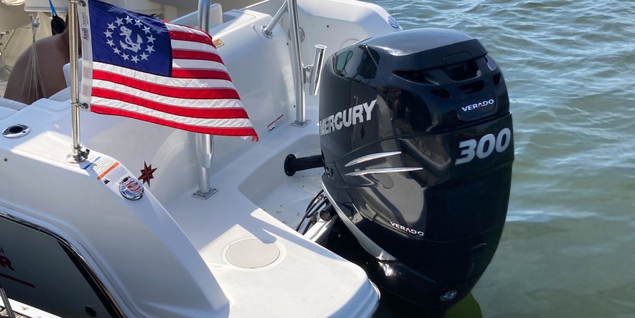 Boston Whaler 230 Vantage