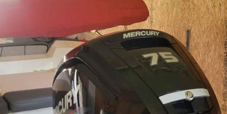 Tracker Guide V-16 Laker DLX T