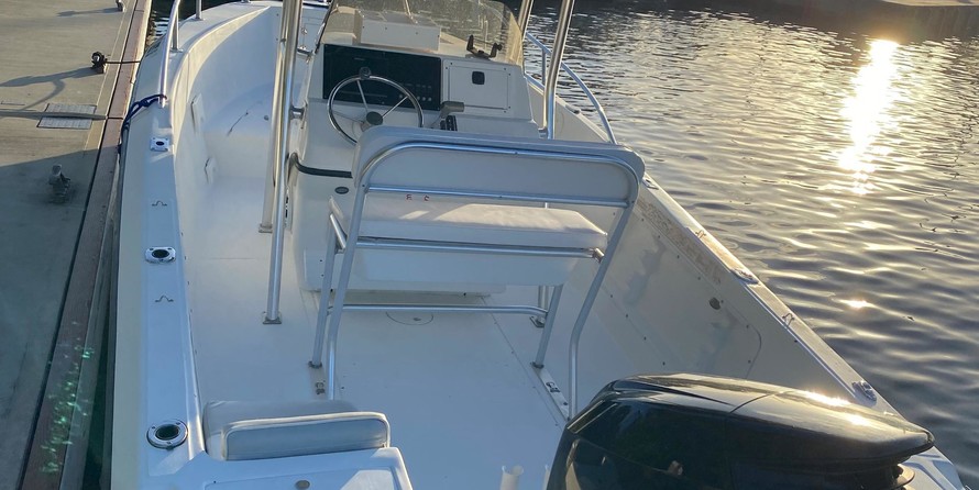 Angler Pro Boats 2900 center console