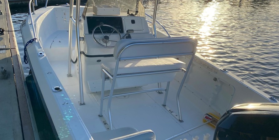 Angler Pro Boats 2900 center console