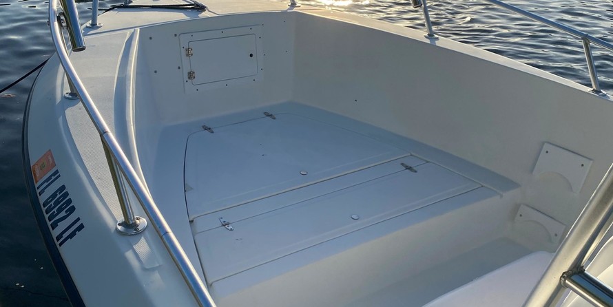 Angler Pro Boats 2900 center console
