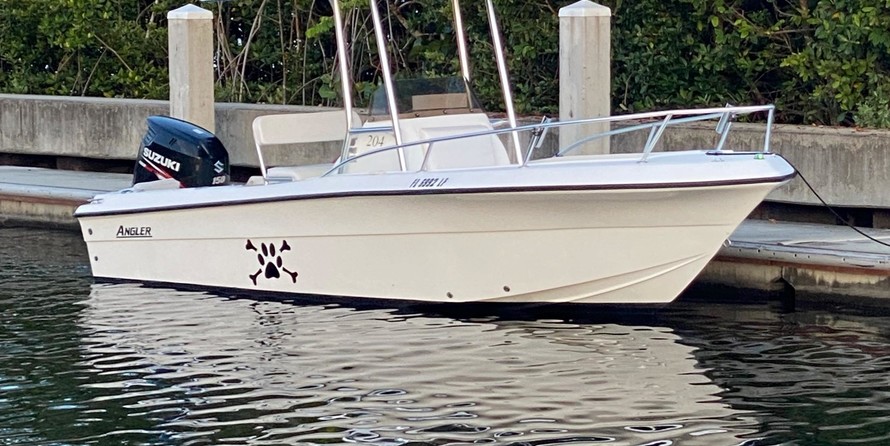 Angler Pro Boats 2900 center console