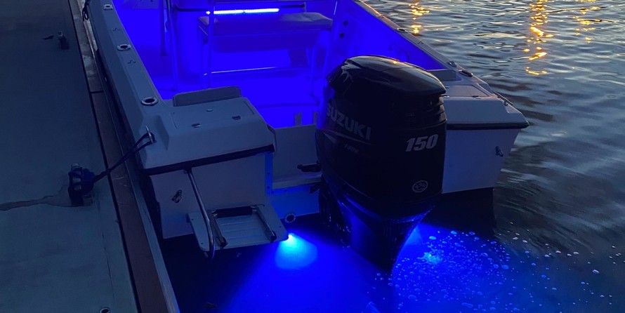 Angler Pro Boats 2900 center console