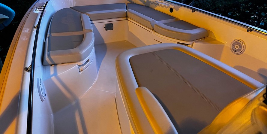 Boston Whaler 270 Dauntless