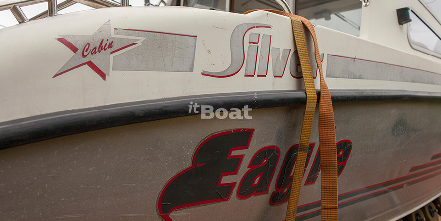 Silver Eagle Star Cabin 650