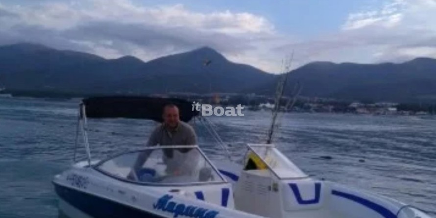 Bayliner 217 Deck Boat