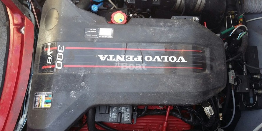 Velvette 25 Euphoria