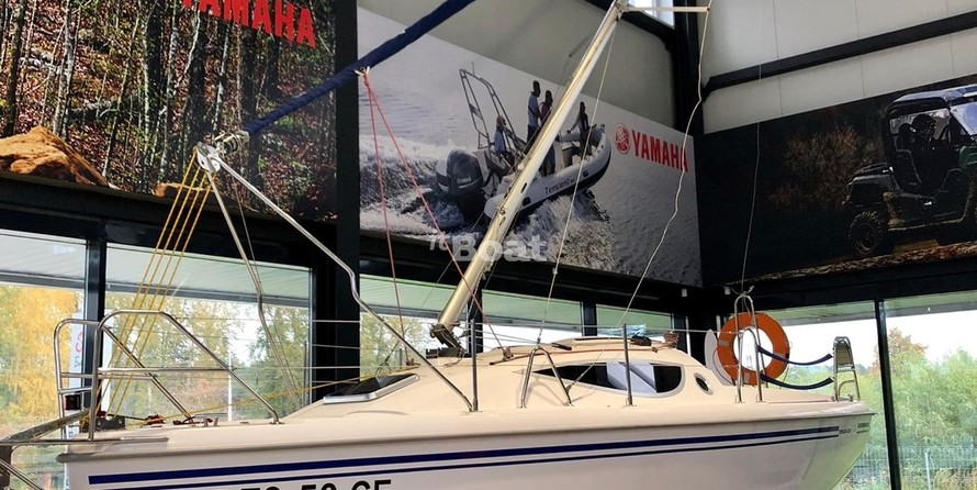 Northman Maxus Evo 24