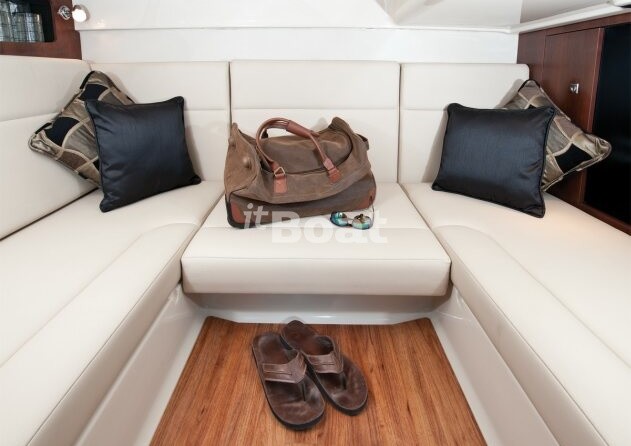 Chaparral 310 Signature