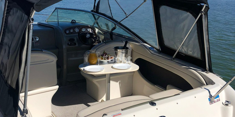 Sea ray 225 weekender