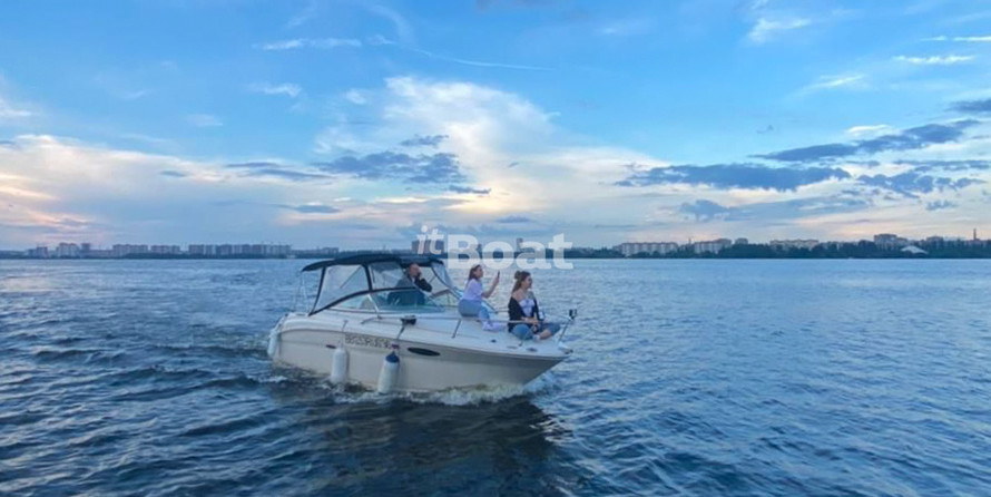 Sea ray 225 weekender