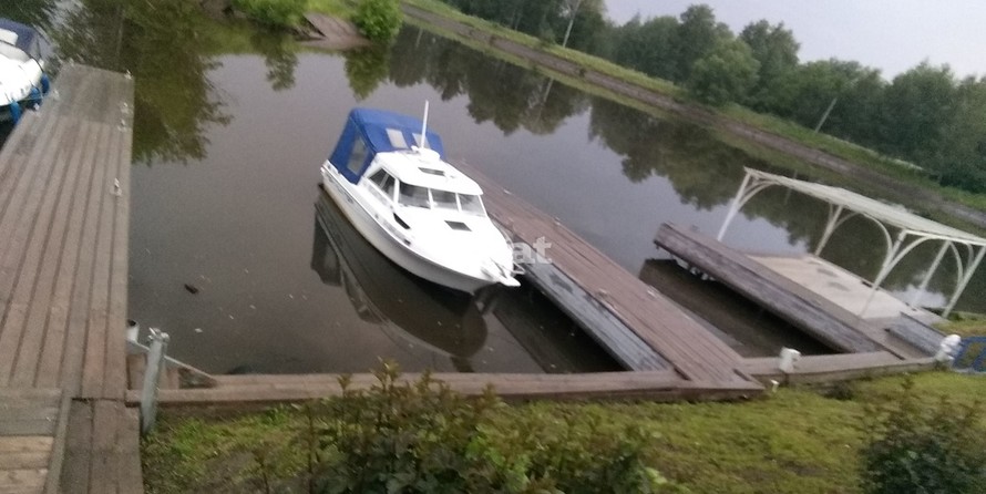 Campion Allante 545i