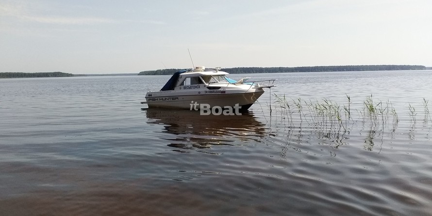 Campion Allante 545i