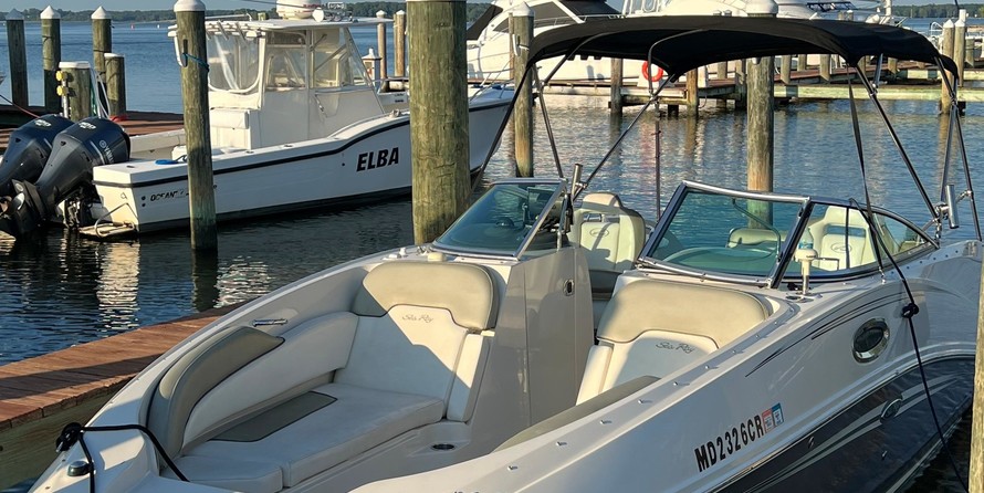 Sea Ray 260 Sundeck
