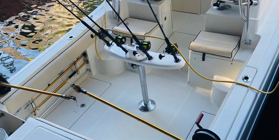 Hydra-sports 2800 vector wa