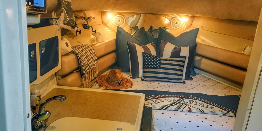 Hydra-sports 2800 vector wa