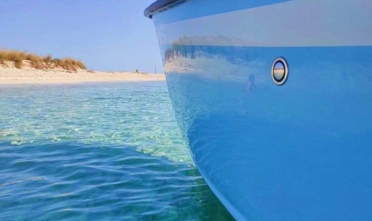 Pr Marine 62