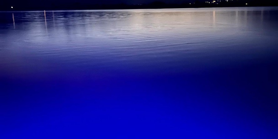 Sea Ray Sundancer 350