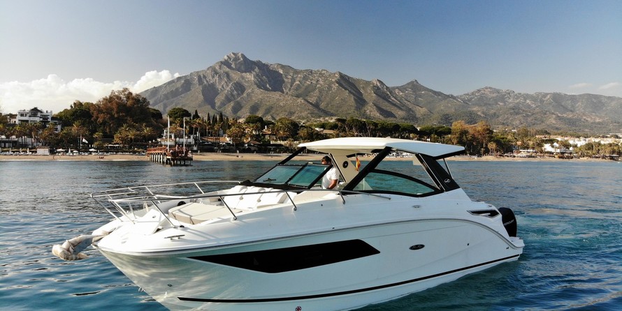 Sea Ray 320 Sundancer