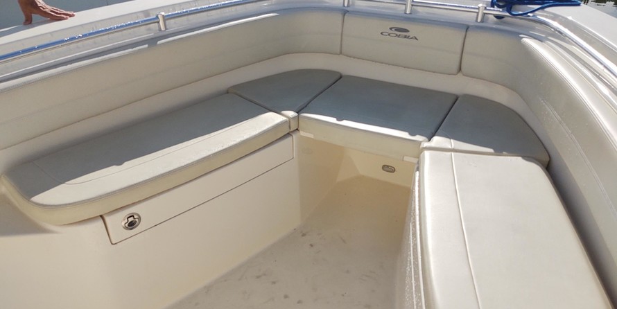 Cobia 262