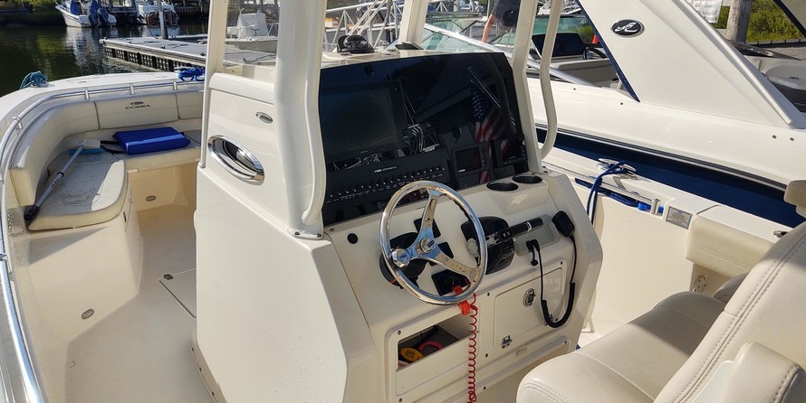 Cobia 262