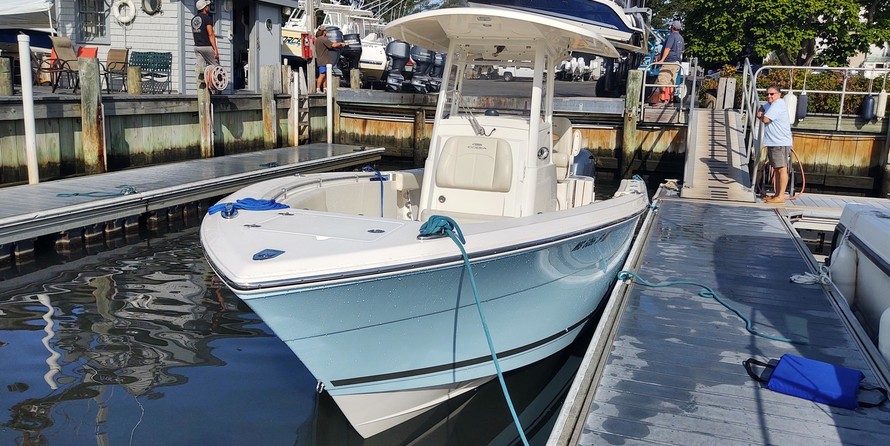 Cobia 262