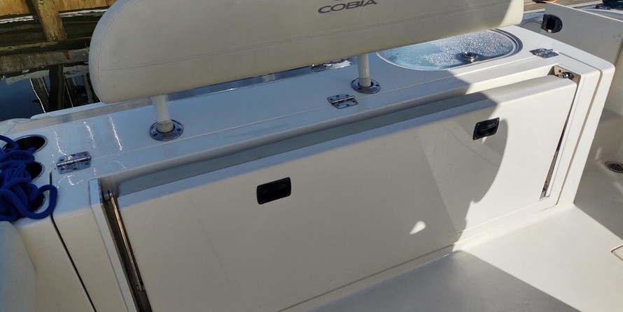 Cobia 262
